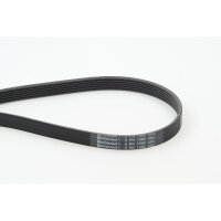 CONTINENTAL CTAM 6PK1580 Keilrippenriemen