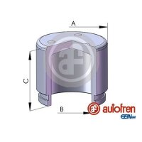 AUTOFREN SEINSA D02572 Kolben, Bremssattel