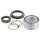 SNR R141.61 Radlagersatz