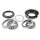 SNR R141.60 Radlagersatz