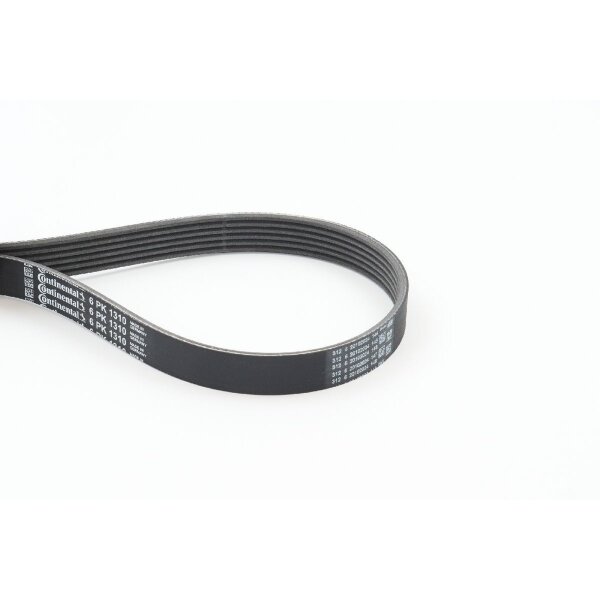 CONTINENTAL CTAM 6PK1310 Keilrippenriemen