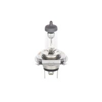 BOSCH 1 987 302 041 Glühlampe, Fernscheinwerfer