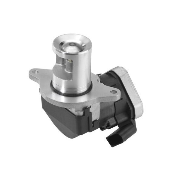 BorgWarner 710023D AGR-Ventil