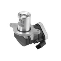 BorgWarner 710023D AGR-Ventil
