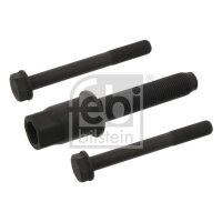 FEBI BILSTEIN 33845 Schraubensatz, Zahnräder...