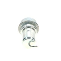 BOSCH 0 438 170 017 Druckspeicher, Kraftstoffdruck