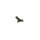 BOSCH 0 281 002 778 Impulsgeber, Kurbelwelle