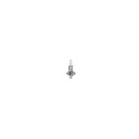BOSCH 1 987 301 005 Glühlampe, Fernscheinwerfer