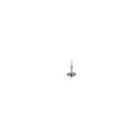 BOSCH 1 987 301 005 Glühlampe, Fernscheinwerfer