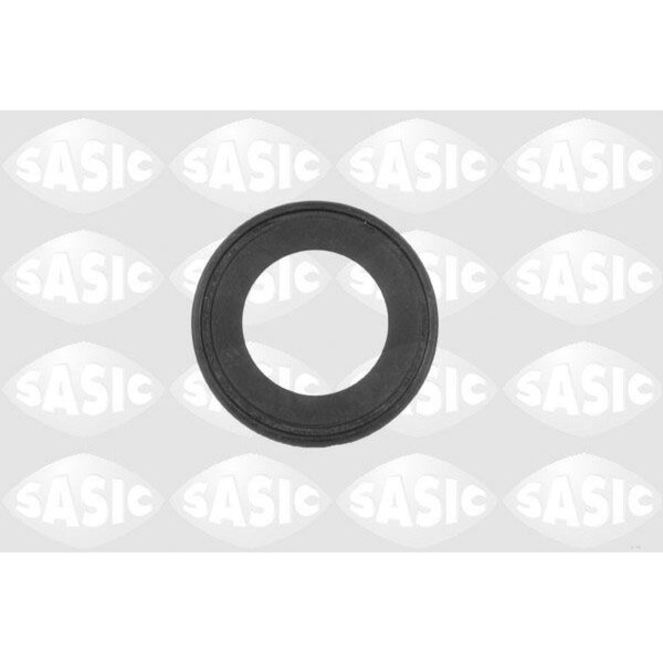 SASIC 1950002 Wellendichtring, Differential