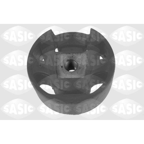 SASIC 9001950 Lagerung, Achsträger