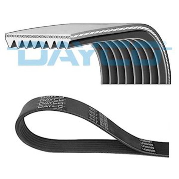 DAYCO 8PK1230 Keilrippenriemen