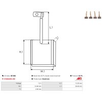 AS-PL SB1006 Kohlebürste, Starter