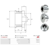 AS-PL AP3003 Riemenscheibe, Generator