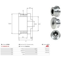 AS-PL AP3004 Riemenscheibe, Generator