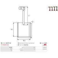 AS-PL BSX137-143 Kohlebürste, Starter