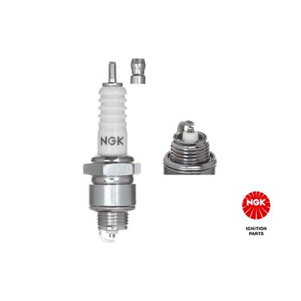 NGK 3011 Zündkerze