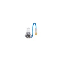 BOSCH 1 987 302 031 Glühlampe, Fernscheinwerfer
