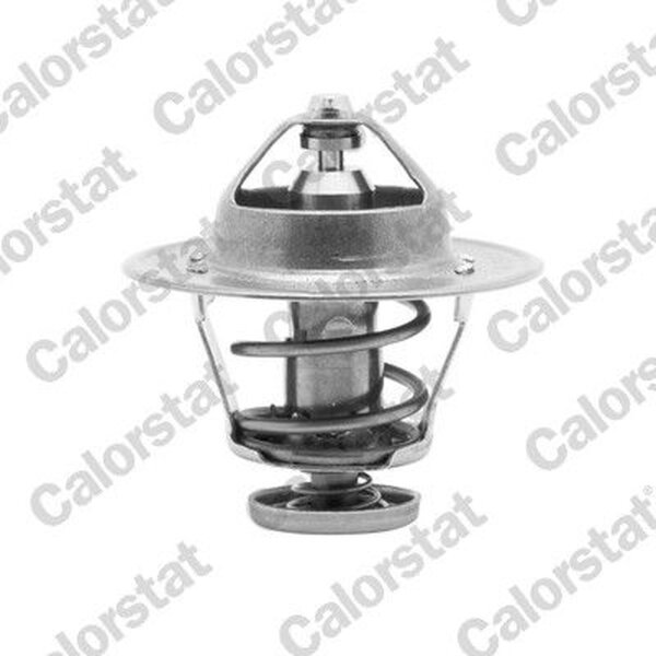 CALORSTAT by Vernet TH6252.89J Thermostat, Kühlmittel