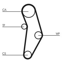 CONTINENTAL CTAM CT1049WP1 Wasserpumpe + Zahnriemensatz