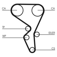 CONTINENTAL CTAM CT1065WP2 Wasserpumpe + Zahnriemensatz