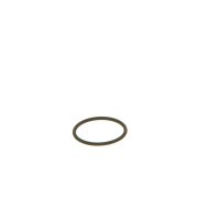 BOSCH F 00V C38 002 Dichtring