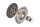 Schaeffler LuK 623 3125 33 Kupplungssatz