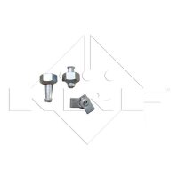 NRF 50202 Kühler, Motorkühlung