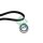 Schaeffler INA 530 0252 10 Zahnriemensatz