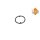 NRF 31306 Ölkühler, Motoröl