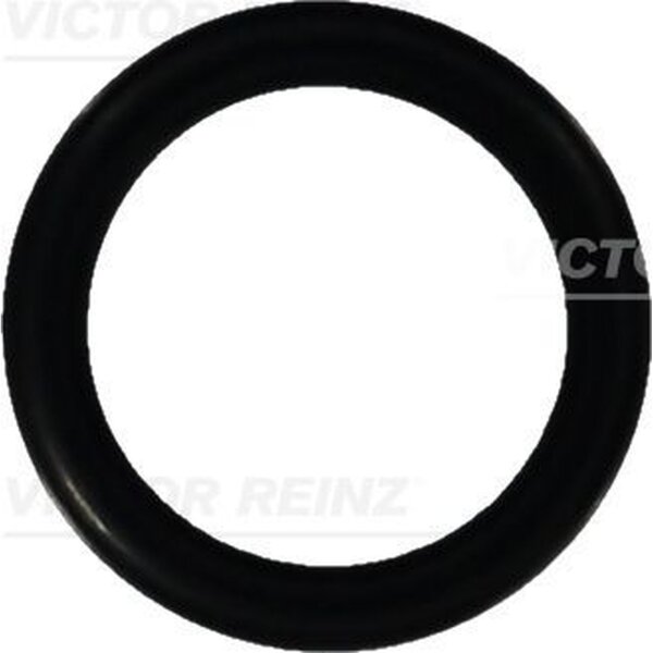 VICTOR REINZ 40-76052-10 Dichtring