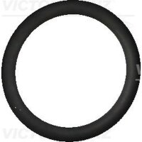 VICTOR REINZ 40-76325-10 Dichtring