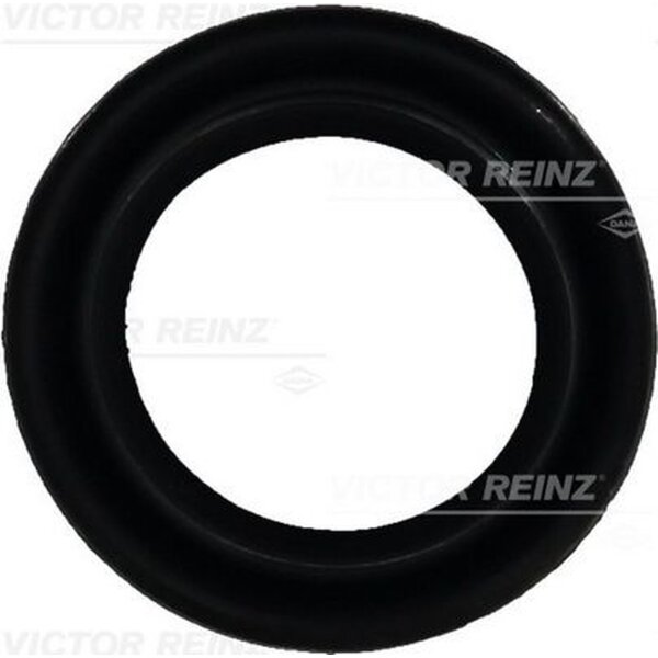 VICTOR REINZ 71-25876-00 Dichtung, Ansaugkrümmergehäuse