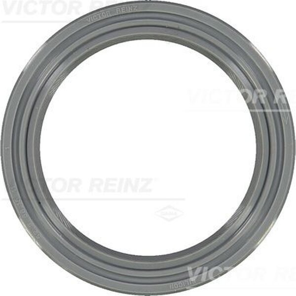 VICTOR REINZ 81-25587-10 Wellendichtring, Kurbelwelle