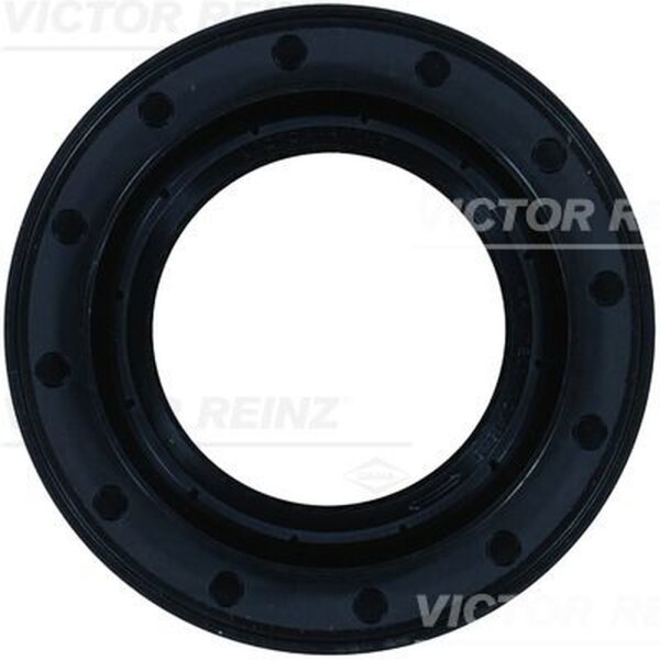 VICTOR REINZ 81-33719-00 Wellendichtring, Differential