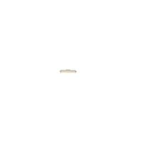 BOSCH 1 904 520 016 Sicherung