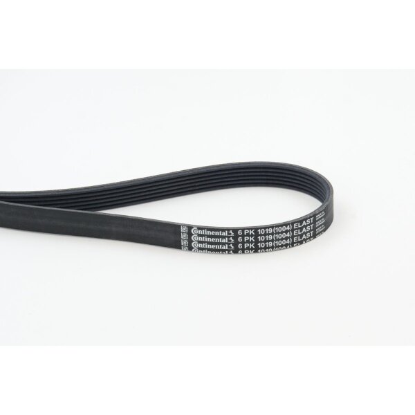 CONTINENTAL CTAM 6PK1019 ELAST Keilrippenriemen