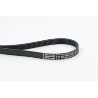 CONTINENTAL CTAM 6PK1019 ELAST Keilrippenriemen