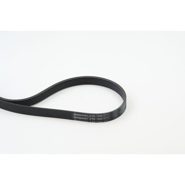 CONTINENTAL CTAM 6PK1244 Keilrippenriemen