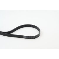CONTINENTAL CTAM 6PK1244 Keilrippenriemen