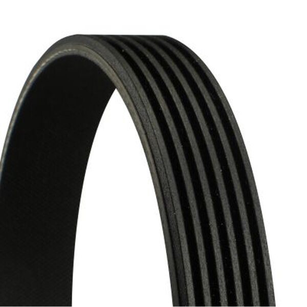 CONTINENTAL CTAM 6PK955 Keilrippenriemen
