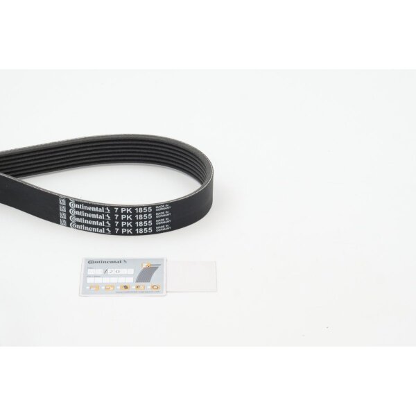 CONTINENTAL CTAM 7PK1855 Keilrippenriemen