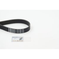 CONTINENTAL CTAM 7PK1855 Keilrippenriemen