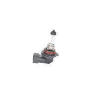 BOSCH 1 987 302 153 Glühlampe, Fernscheinwerfer