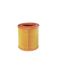 FILTRON AE 311/1 Luftfilter