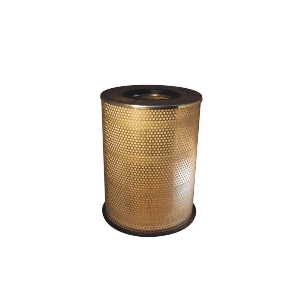 FILTRON AM 442/5 Luftfilter