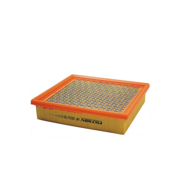 FILTRON AP 003/10 Luftfilter