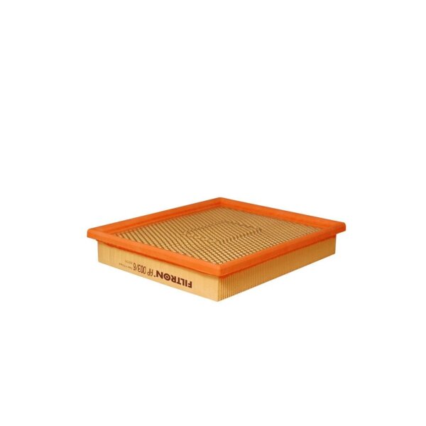 FILTRON AP 003/6 Luftfilter
