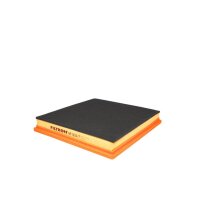 FILTRON AP 003/7 Luftfilter