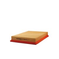 FILTRON AP 003/8 Luftfilter